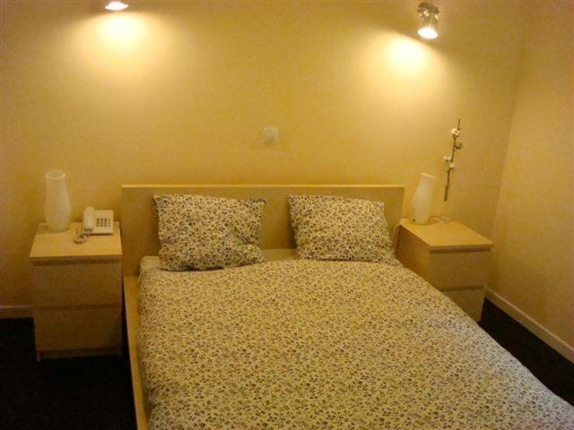 Hostal Goyal Pizarro Madrid Eksteriør billede